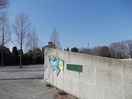 ひたち野みずべ公園まで250m ハーヴェストヒルＡ