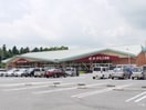 ﾖｰｸﾍﾞﾆﾏﾙ豊里店(スーパー)まで812m フォーマルハウト　ａ