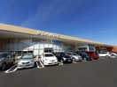 ブランデつくば並木店まで2900m サンパティーク・レジデンス　Ｂ