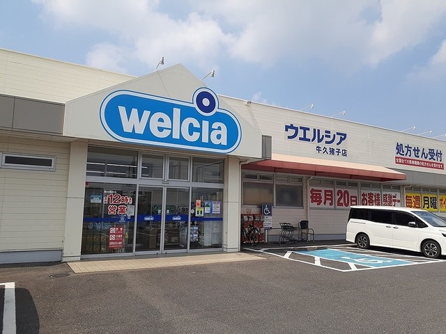 ウエルシア　牛久猪子店まで1100m パールハイム