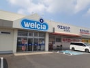 ウエルシア　牛久猪子店まで1100m パールハイム