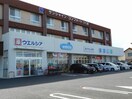 ウエルシアつくば谷田部店まで1650m ジプソフィル