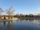 洞峰公園まで1200m パルシャス　二の宮