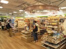 Seria（ｾﾘｱ） つくば店(スーパー)まで841m パルシャス　二の宮