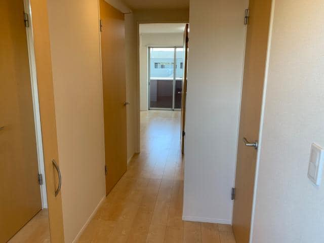  Alcyone（アルシオーネ）