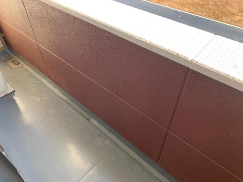  Alcyone（アルシオーネ）