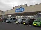 ウエルシアつくば万博記念公園店まで950m ソラリス
