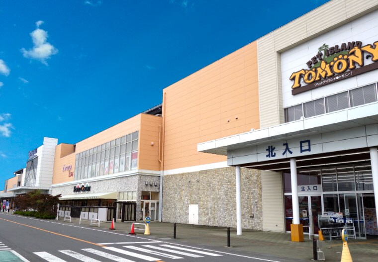 山新グランステージつくば(電気量販店/ホームセンター)まで2436m ソラリス