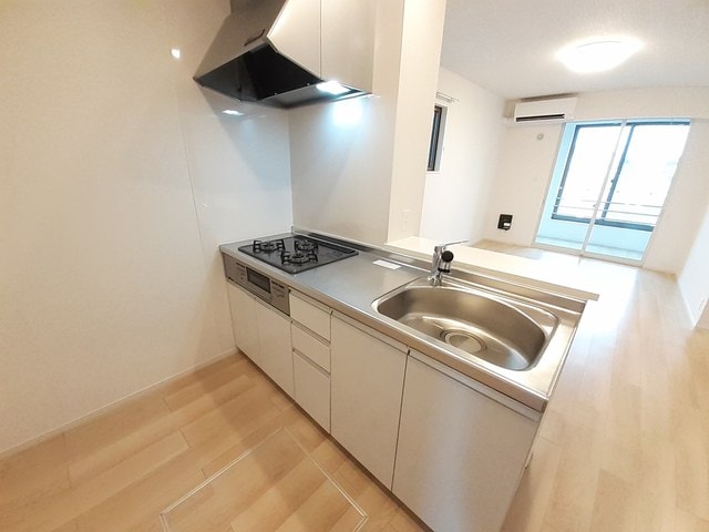  プルーム・ヴィレI