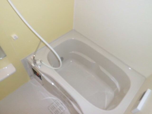  スピカササギII