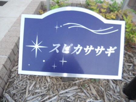  スピカササギII