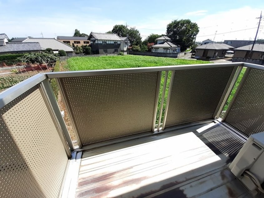  サニーエンジェル