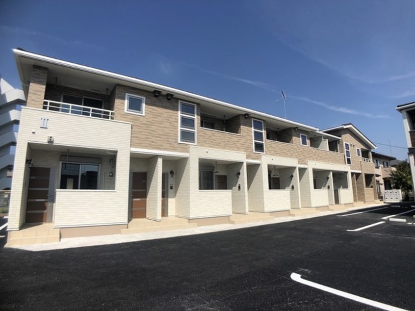  セレッソ花畑II