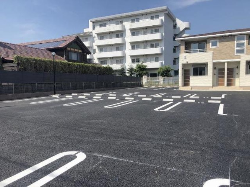  セレッソ花畑II