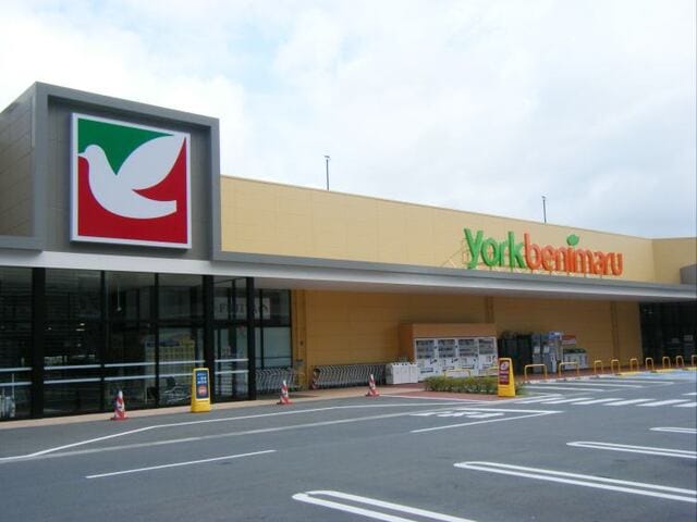 ヨークベニマル つくば竹園店まで1150m Ａｘｉｓ３３