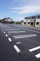  セレッソ花畑IV