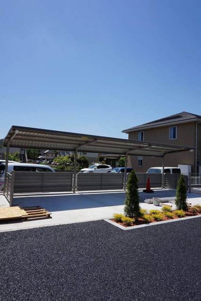  セレッソ花畑IV