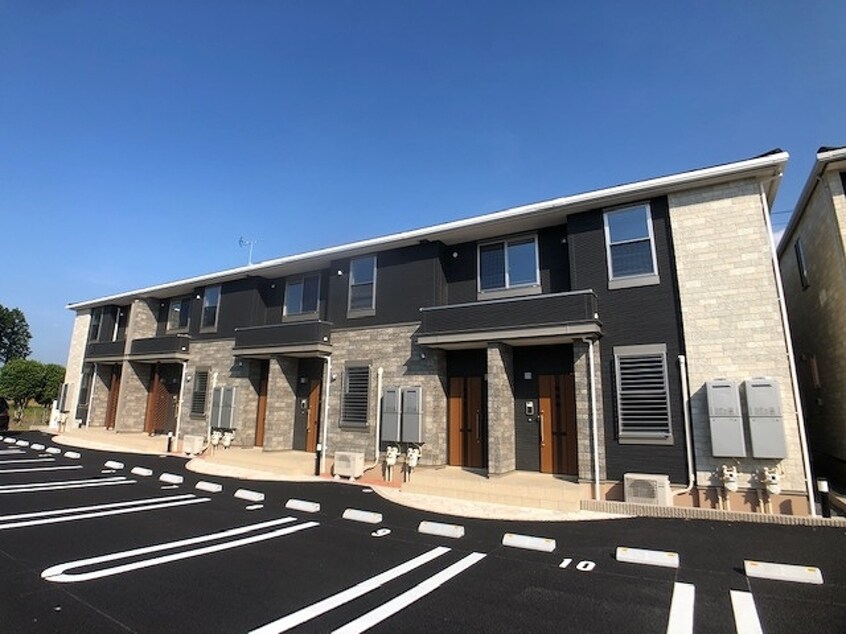  セレッソ花畑IV