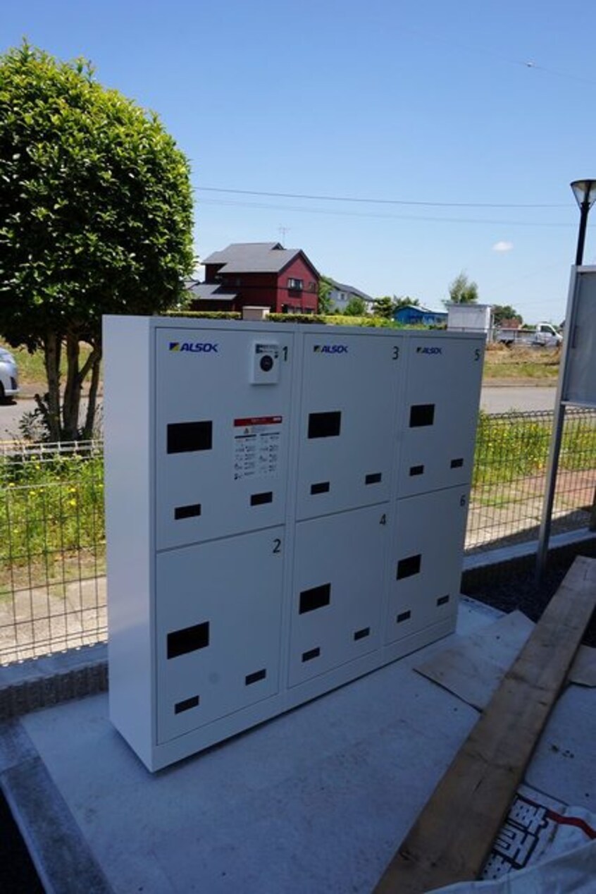  セレッソ花畑IV