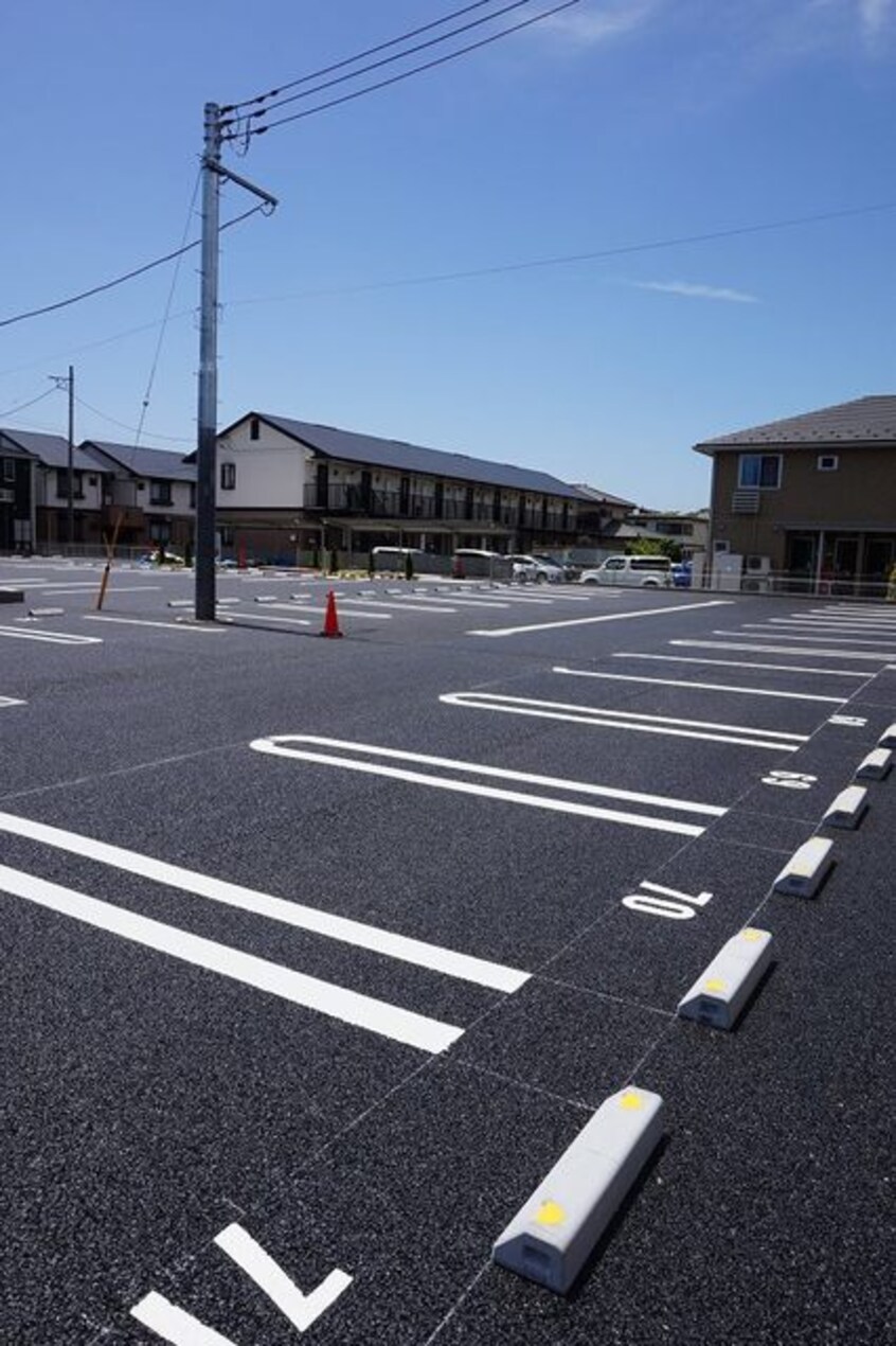  セレッソ花畑IV