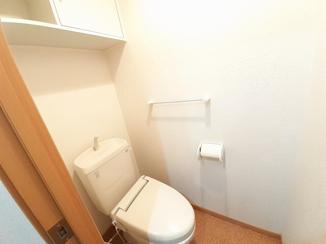  パストラーレサクラII