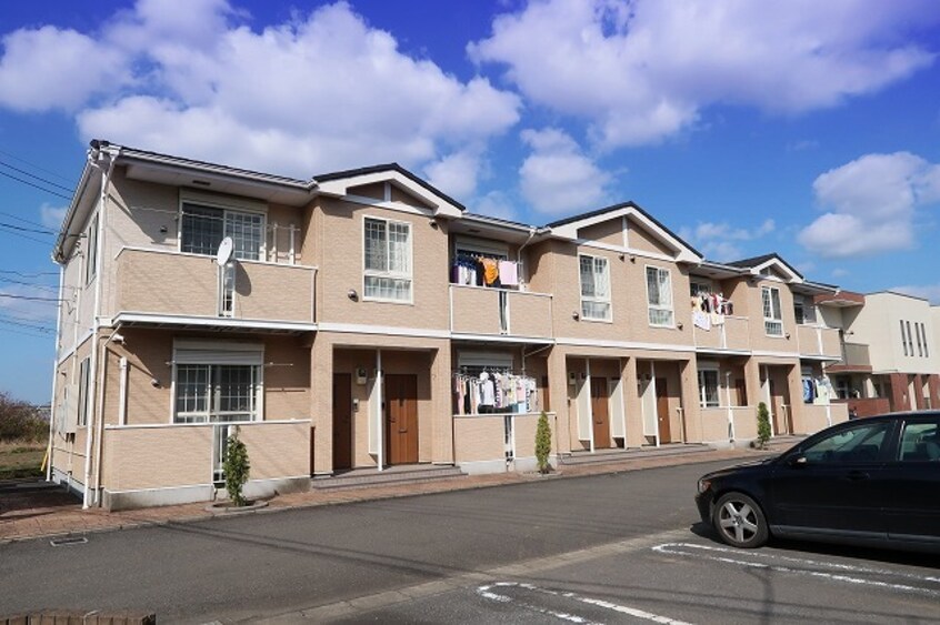  パストラーレサクラ