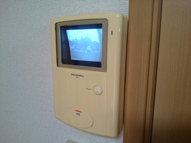  パストラーレサクラ