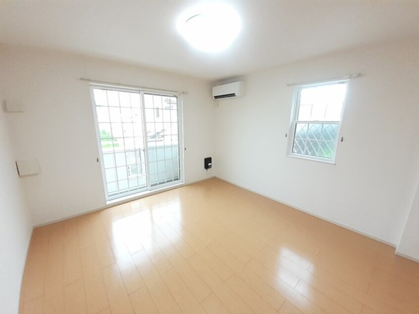  ダンデライオン