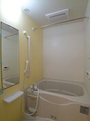  ダンデライオン