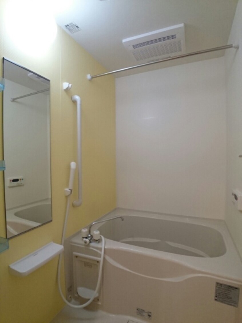  ダンデライオン