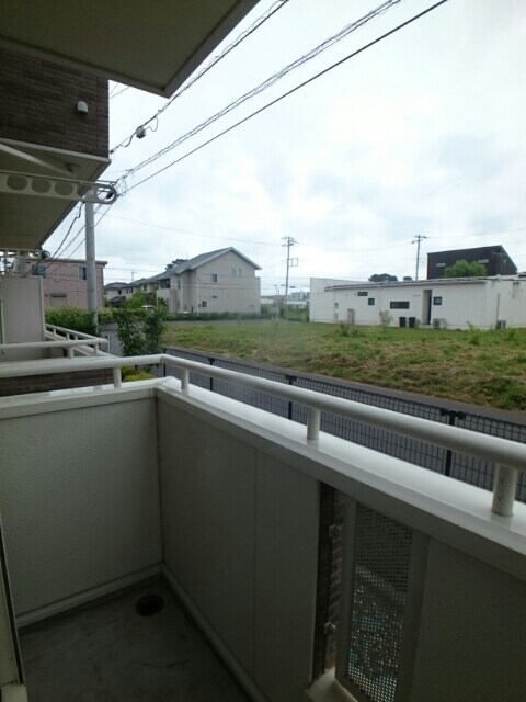  ダンデライオン