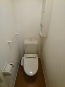  ダンデライオン