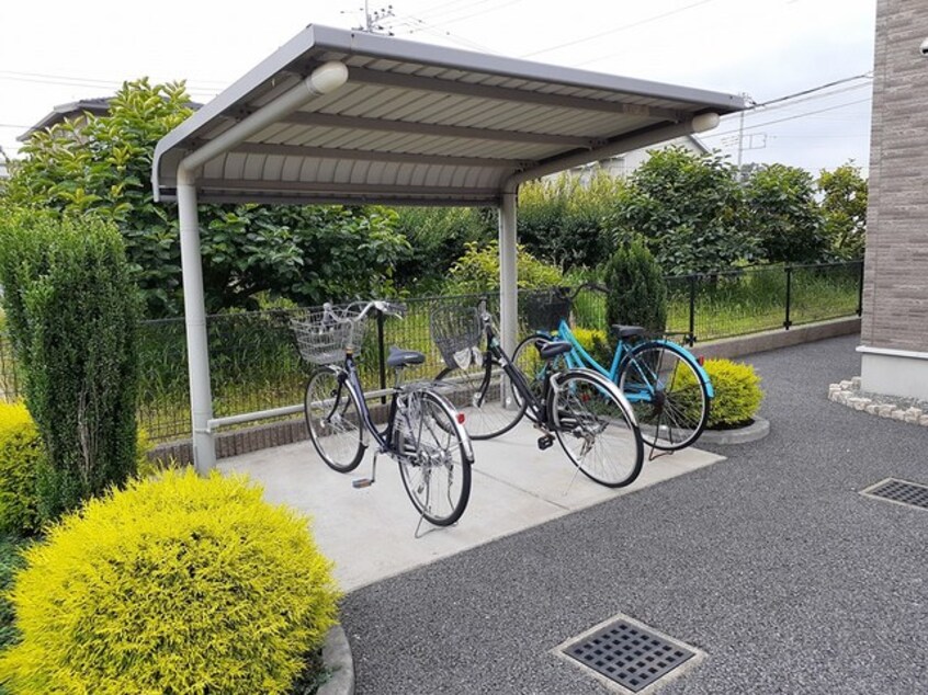  ダンデライオン