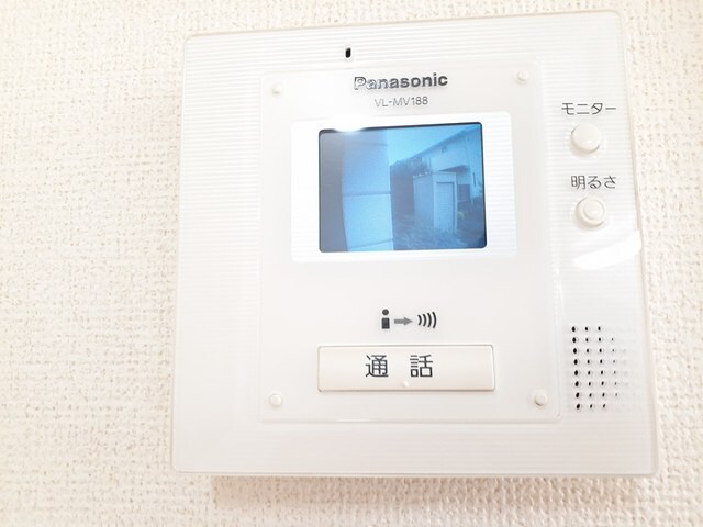  ダンデライオン