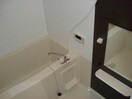 バス／シャワールーム等 スカイバレー