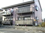 エクセル大木