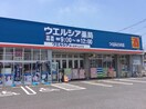 ｳｴﾙｼｱつくばみどりの店(ドラッグストア)まで822m ゼピュロスみどりの　C棟