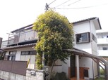守谷松ヶ丘　鈴木邸