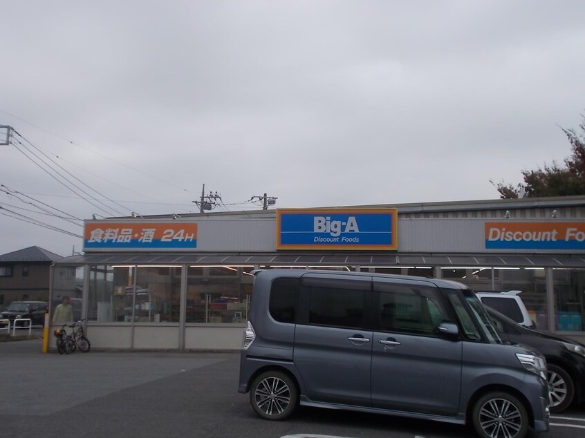 Big-A（ﾋﾞｯｸﾞ･ｴｰ） 北守谷店(スーパー)まで355m シャトレ・モリヤマ　ＣＤ