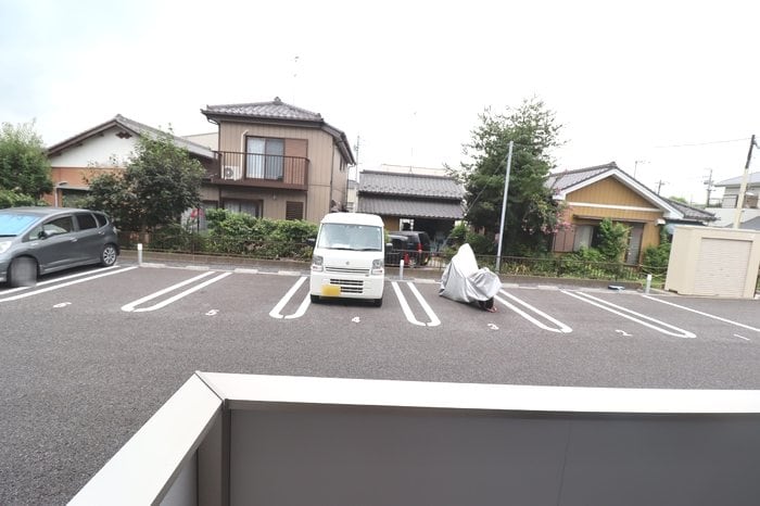  バイアンツリー もりや