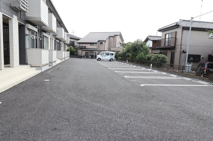  バイアンツリー もりや