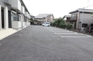  バイアンツリー もりや