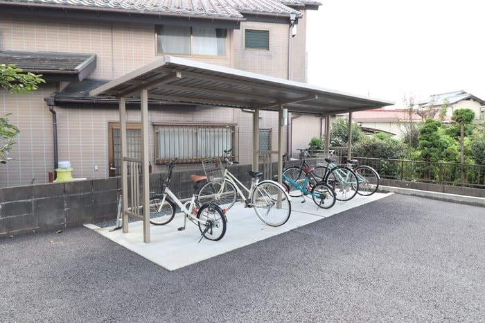  バイアンツリー もりや