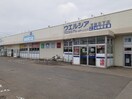 ウエルシア常総石下店まで890m カーサ　ビアンカ