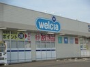 ｳｴﾙｼｱ常総石下店(ドラッグストア)まで822m カーサ　ビアンカ