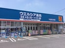 ｳｴﾙｼｱつくばみどりの店(ドラッグストア)まで311m ラ　ルーナA
