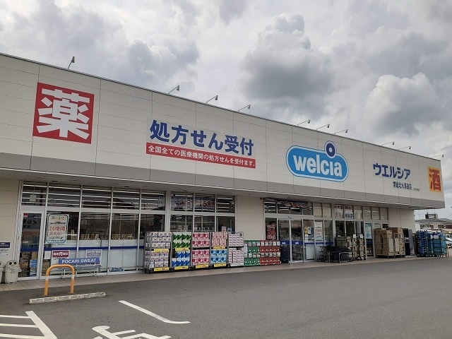 ウエルシア常総北水海道店まで2000m プランドール・ヴィラ