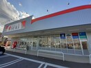 ドラッグストアセキみどりの店まで1100m グリエラ　III
