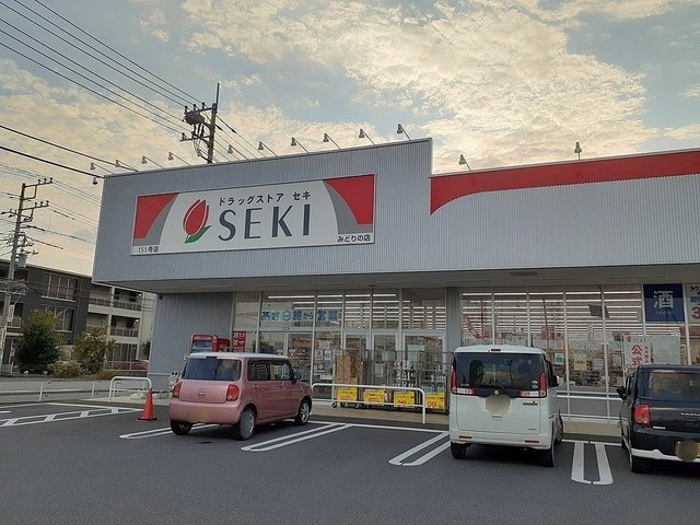 ドラックストア セキまで500m ドルチェビ－タ　II