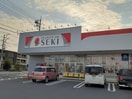 ドラックストア セキまで500m ドルチェビ－タ　II